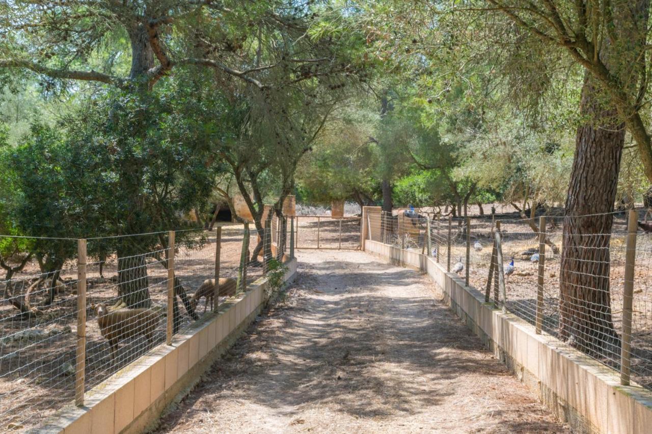 Vakantiehuis Finca Son Baulo